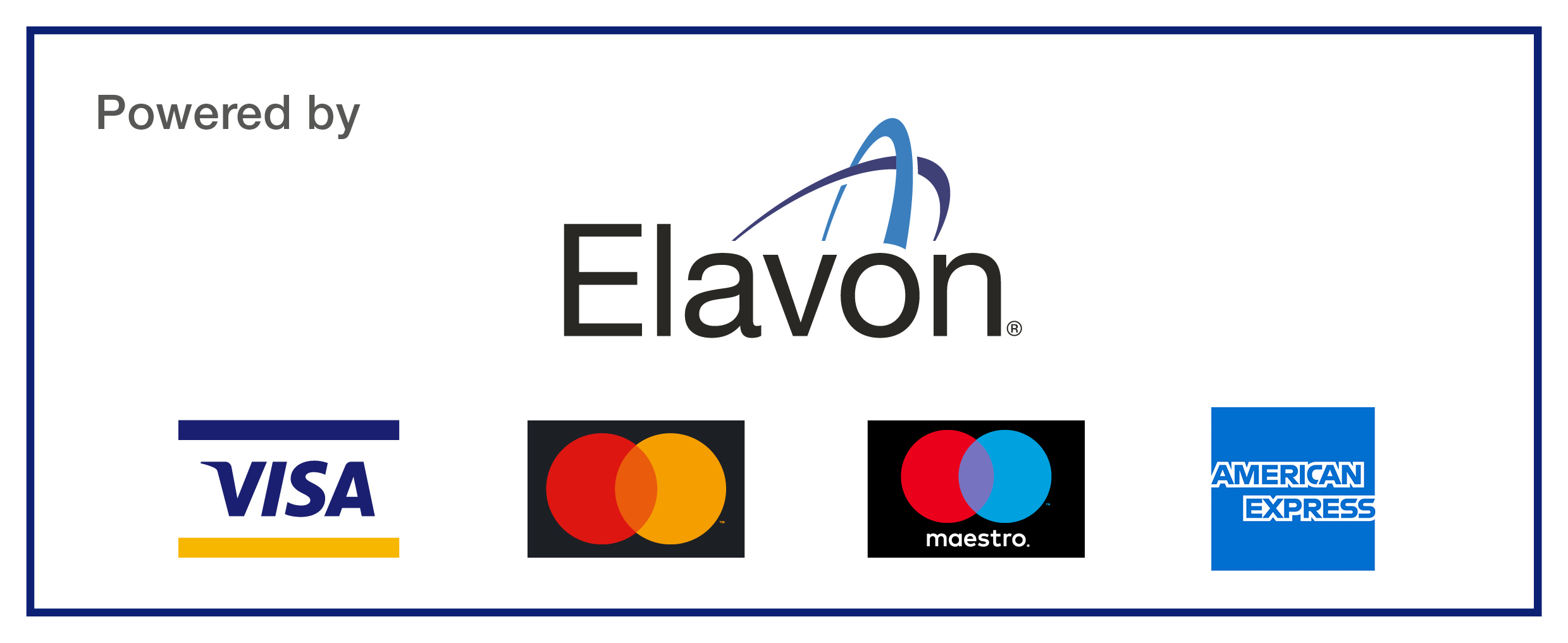 Payment schemes logo 13